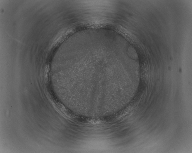 X0000067850742200604271644