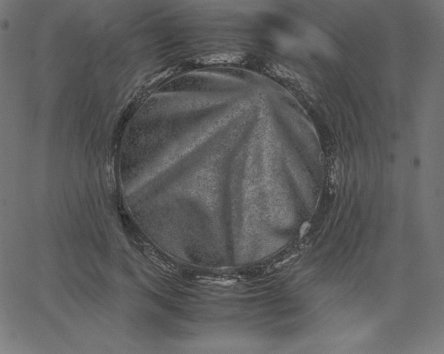 X0000067850743200604271644