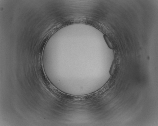 X0000067850744200604271644