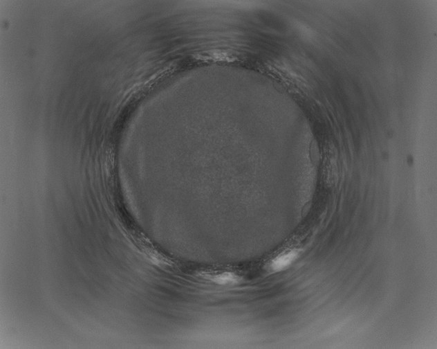 X0000067850747200604271645