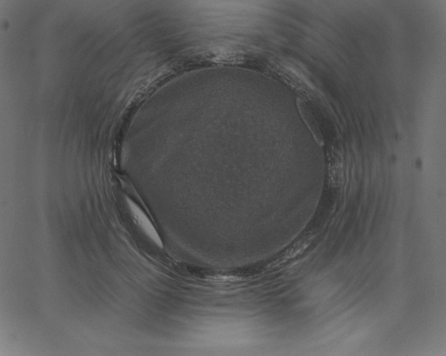 X0000067850748200604271645