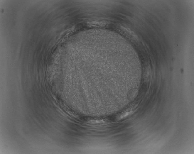 X0000067850749200604271645