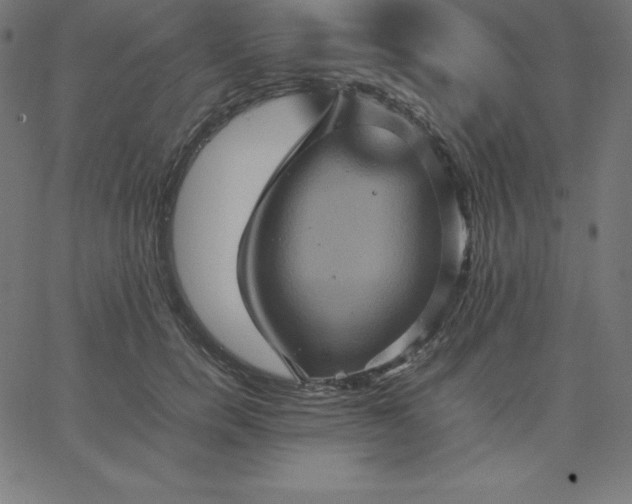 X0000067850750200604271645