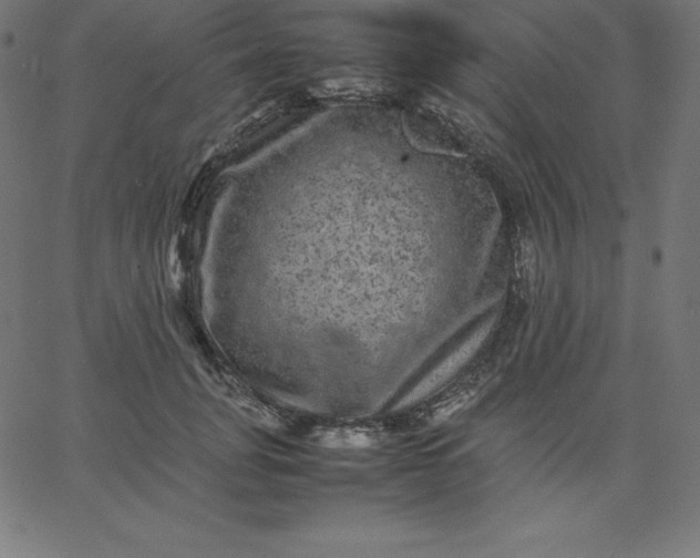 X0000067850751200604271645