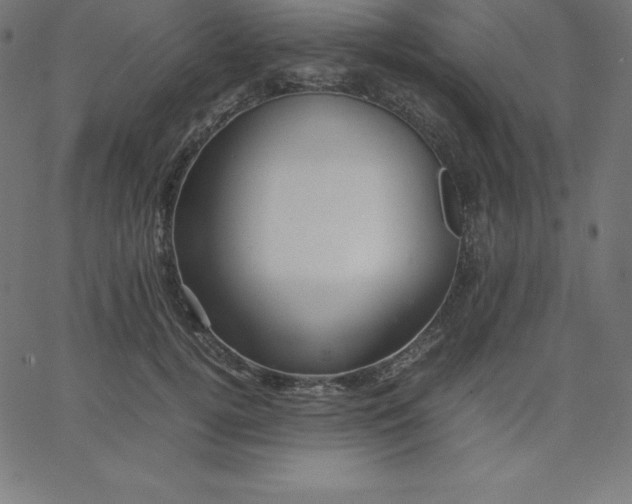 X0000067850752200604271645