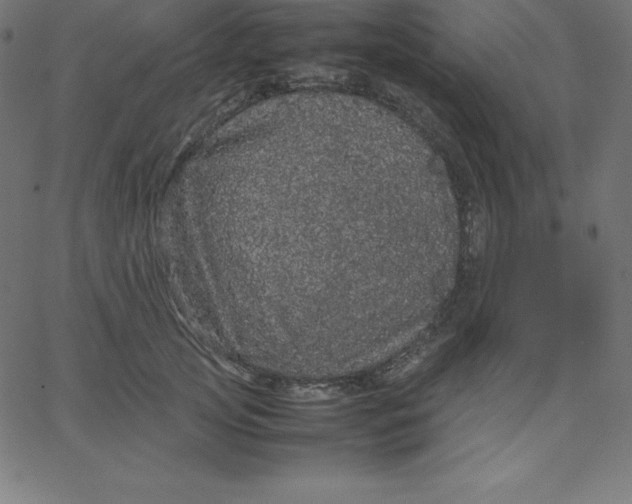 X0000067850753200604271645