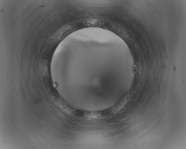 X0000067850754200604271645