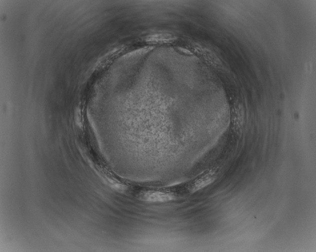 X0000067850755200604271645