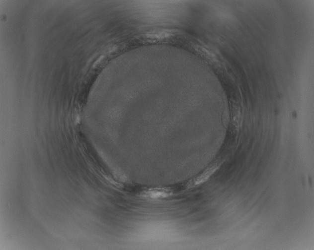 X0000067850758200604271645