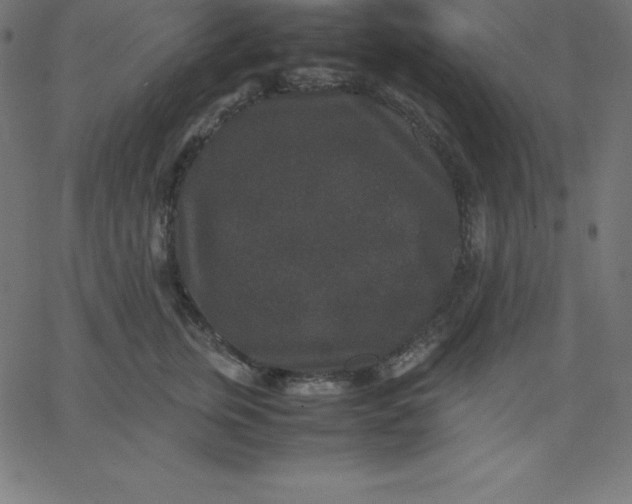 X0000067850759200604271645