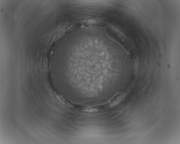 X0000067850760200604271645