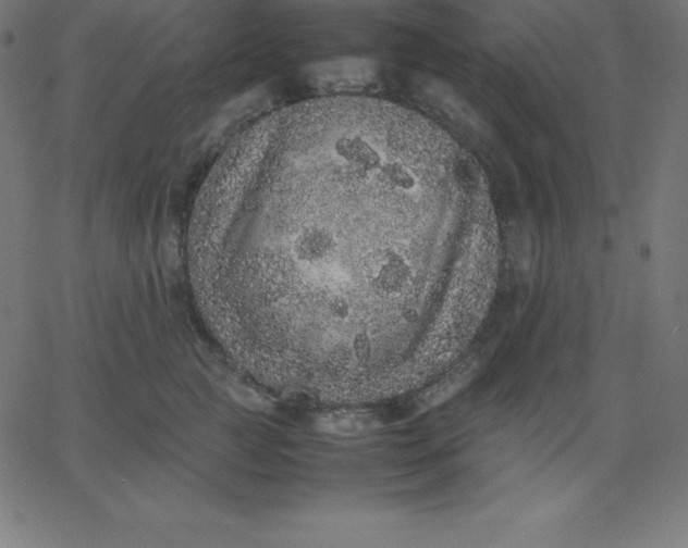 X0000067850761200604271645