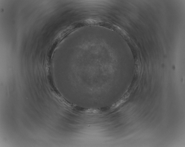 X0000067850762200604271645