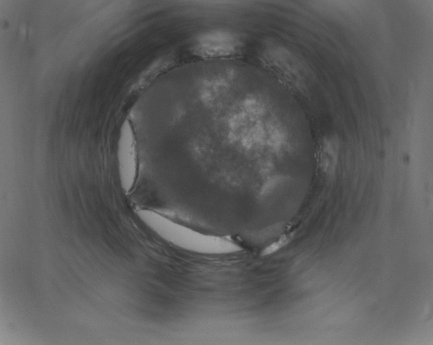 X0000067850763200604271645