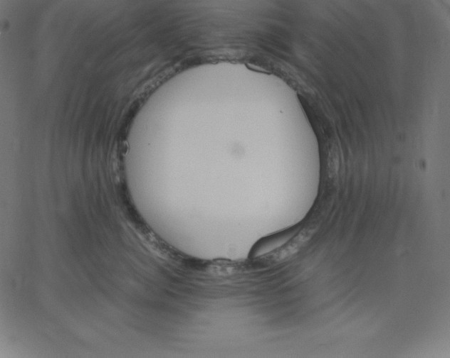 X0000067850764200604271645