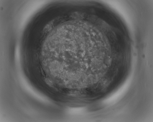 X0000067850765200604271645