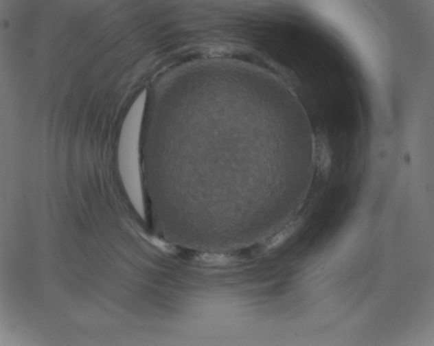 X0000067850766200604271645