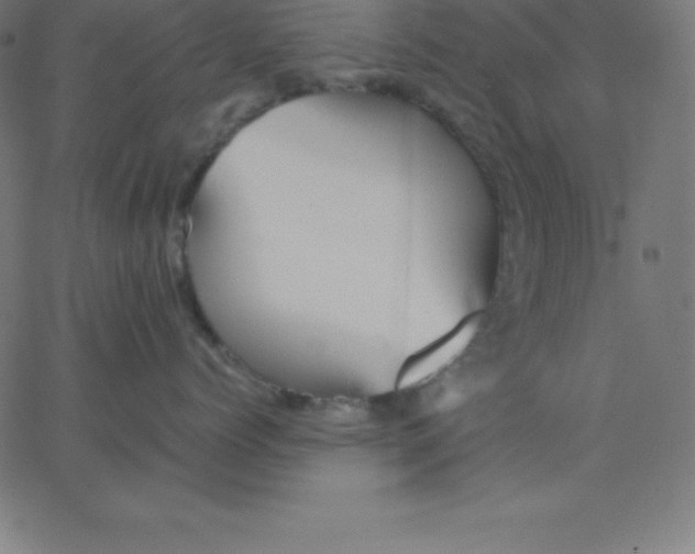 X0000067850768200604271645