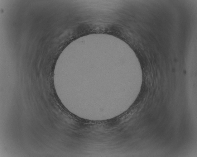 X0000067850769200604271644