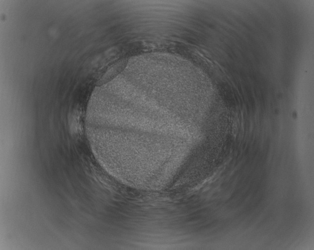 X0000067850770200604271644