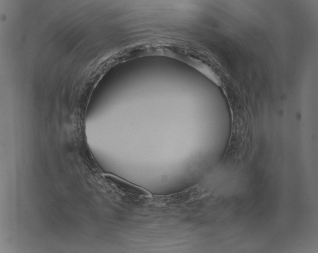 X0000067850773200604271644