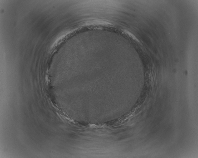 X0000067850775200604271644