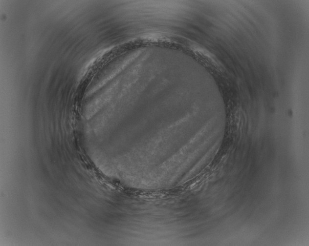 X0000067850776200604271644