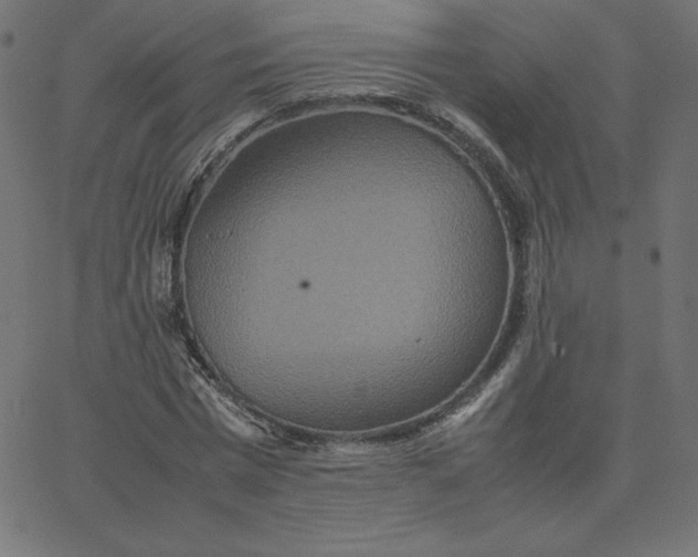 X0000067850777200604271644