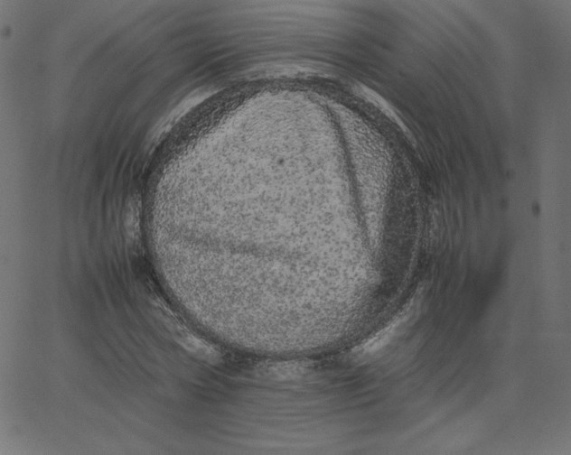 X0000067850778200604271644