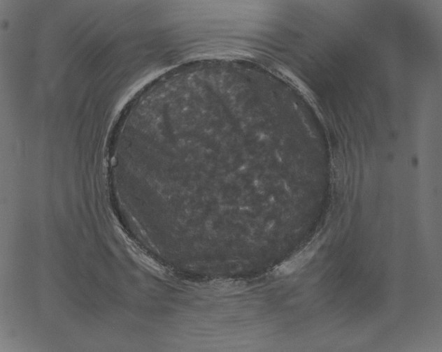 X0000067850779200604271644