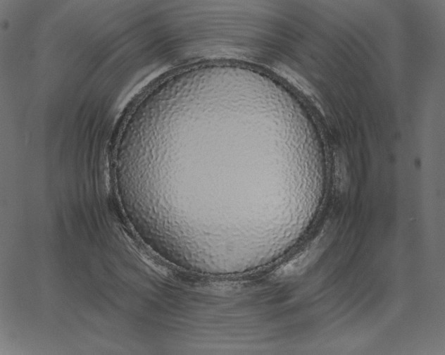 X0000067850782200604271644