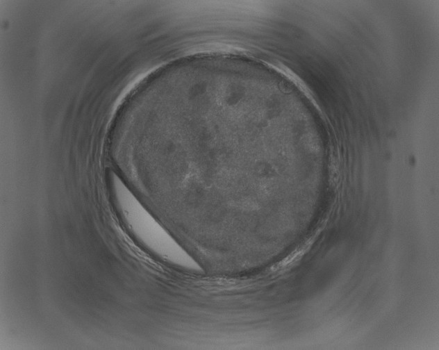 X0000067850783200604271644