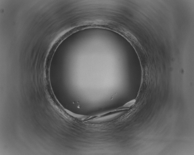 X0000067850784200604271644