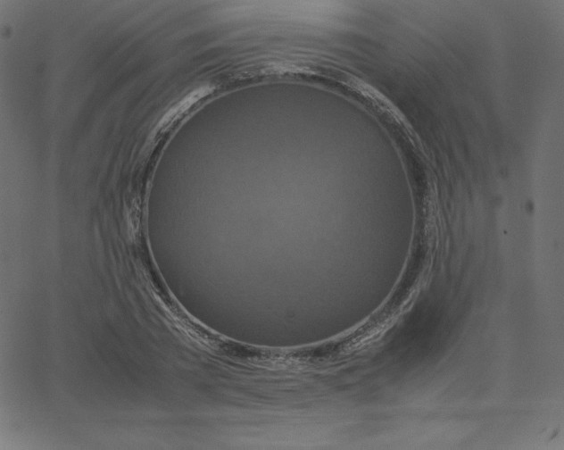 X0000067850785200604271644