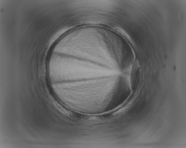 X0000067850787200604271644