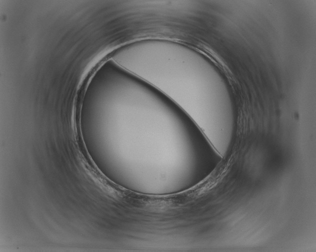 X0000067850788200604271644