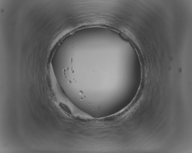 X0000067850789200604271644