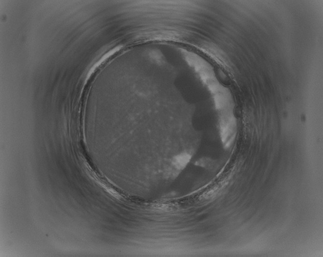 X0000067850790200604271644