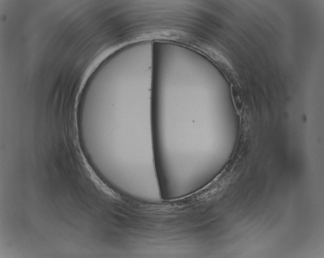 X0000067850792200604271644