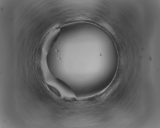 X0000067850793200604271644