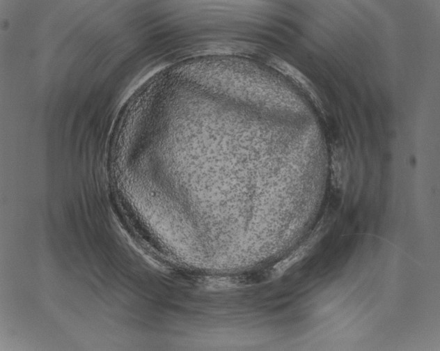 X0000067850794200604271644