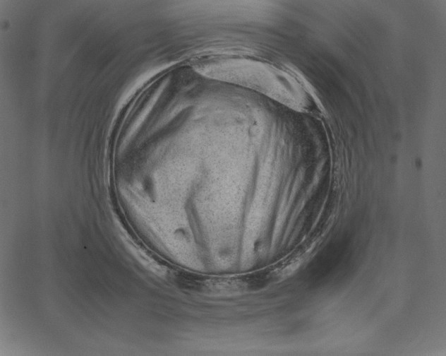 X0000067850795200604271644