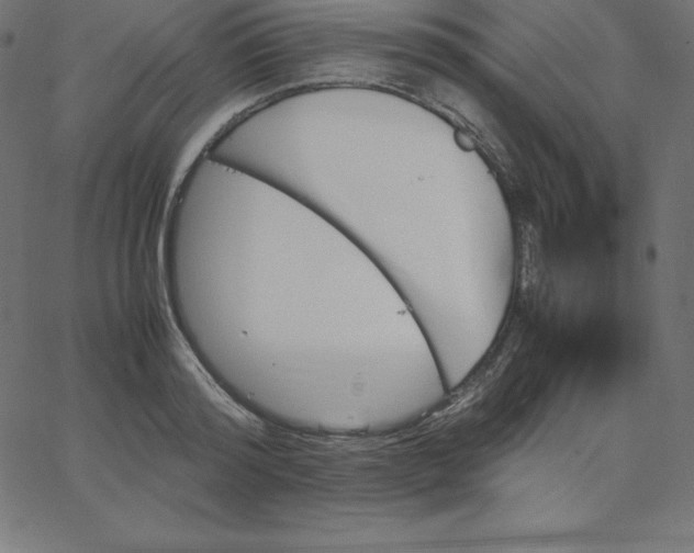 X0000067850796200604271644