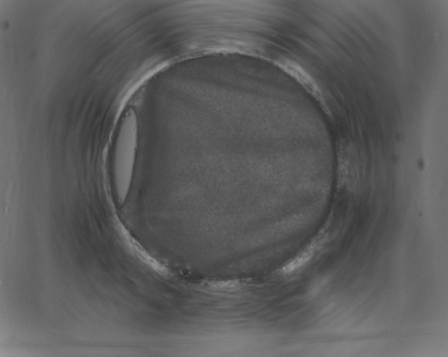 X0000067850798200604271644