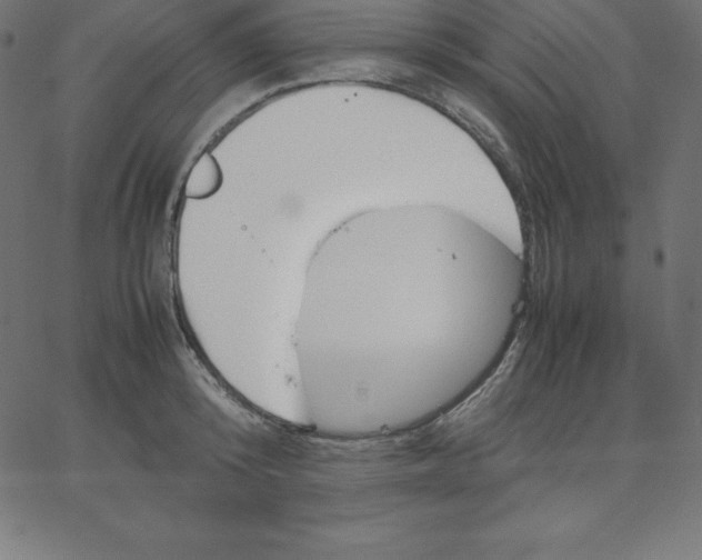 X0000067850800200604271644