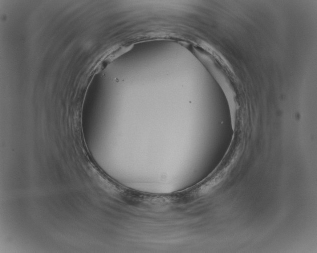 X0000067850801200604271644