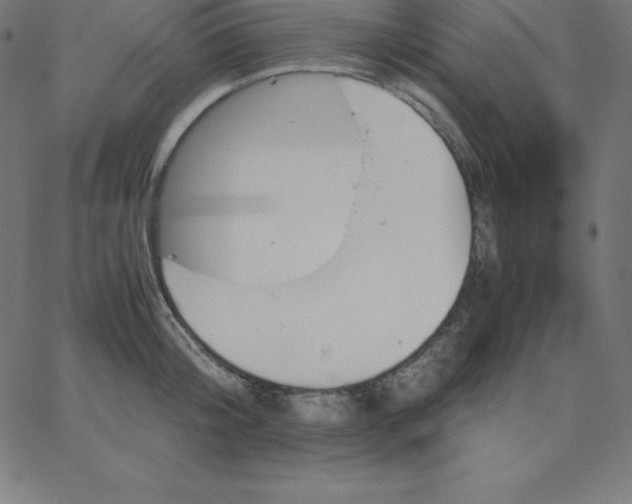 X0000067850804200604271644