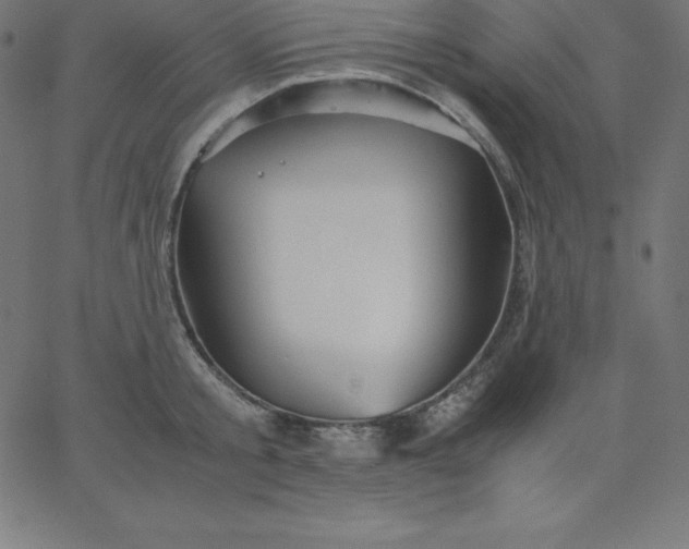 X0000067850805200604271643