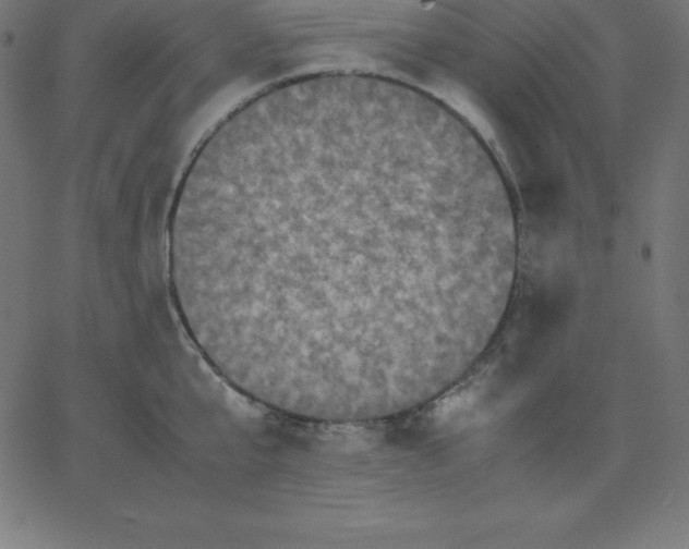 X0000067850807200604271643