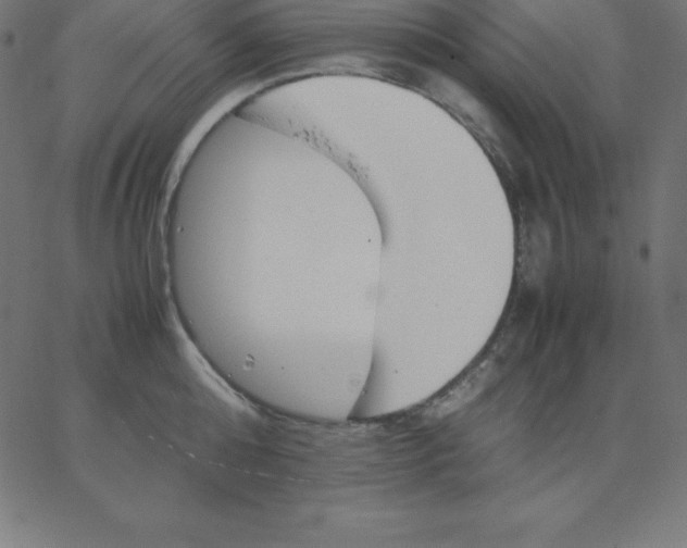 X0000067850808200604271643